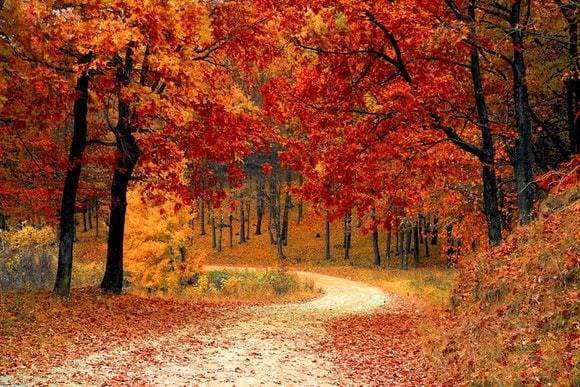 5 Ways To Easily Transition Out Of Summer