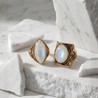 Harmony Bundle